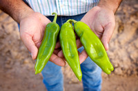 Chilies_InHand_010