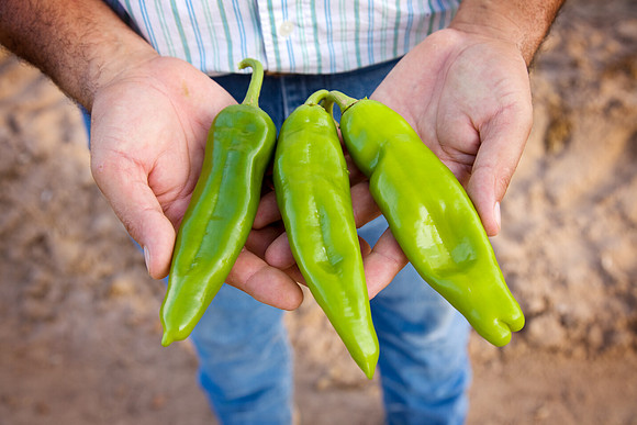 Chilies_InHand_010