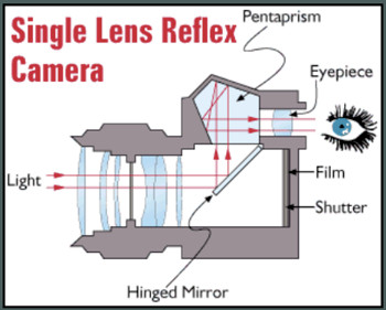 SLR
