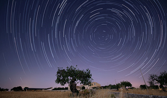 Stars