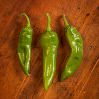 Barker's Hot_2